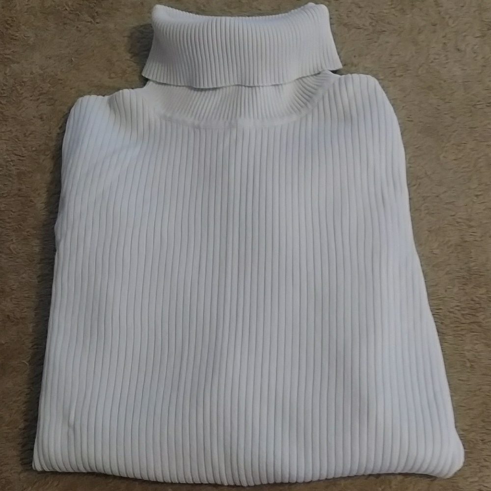 August Silk Ribbed Turtleneck